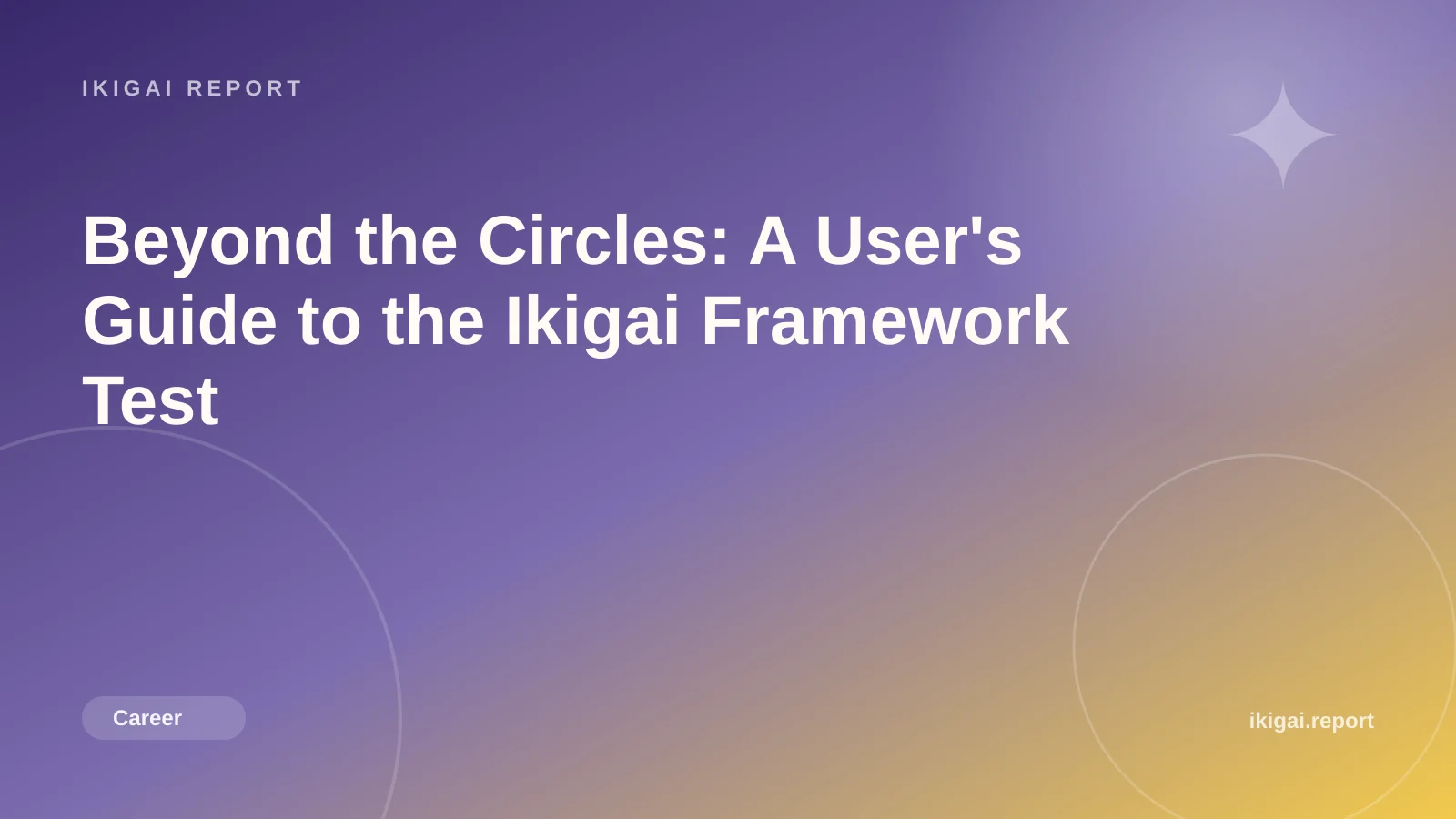 Beyond the Circles: A User's Guide to the Ikigai Framework Test